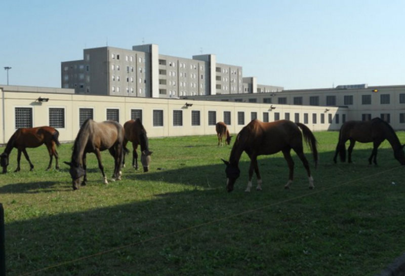 ASOM - Associazione Salto Oltre il Muro